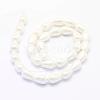 Shell Pearl Beads Strands BSHE-P024-02-2