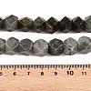 Natural Labradorite Beads Strands G-T138-37-5