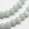 Natural Amazonite Beads Strands G-N0197-02-2mm-3