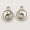 Feng Shui Tibetan Style Alloy Charms Pendants TIBEP-A039-AS-NF-2