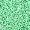 Baking Paint Glass Seed Beads X-SEED-S042-05B-59-3