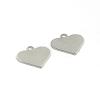 Tarnish Resistant 304 Stainless Steel Charms STAS-D431-27-1