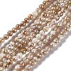 Drawbench Style Natural Freshwater Shell Beads Strands SHEL-F003-10A-1
