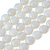 Opalite Beads Strands G-L648-B16-15mm-3
