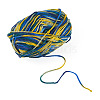 Light Gradient Segment Dyed Polyester Yarn DIY-TADJ0002-005C-3