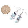 Natural Howlite & White Jade & Sodalite Dangle Earrings EJEW-JE06127-02-3