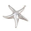 304 Stainless Steel Pendants SA-CBA6E67-11P-2