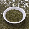 MIYUKI Round Rocailles Beads X-SEED-G007-RR4519-2