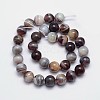 Round Natural Botswana Agate Bead Strands G-I166-02-12mm-2