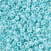 Glass Seed Beads SEED-A011-3mm-154-3