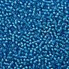 TOHO Round Seed Beads SEED-JPTR11-0931-2