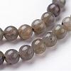 Natural Labradorite Bead Strands G-J352-01-4mm-3