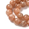 Round Natural Multi-Moonstone Beads Strands LS-G-I176-09-10mm-01-3