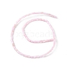 Natural Freshwater Shell Dyed Beads Strands X-SHEL-M018-12-09-2