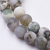 Natural Tree Agate Bead Strands G-J376-11F-8mm-3