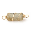 Natural Labradorite Connector Charms PALLOY-JF01580-01-3