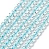 Transparent Glass Beads Strands GLAA-A014-03E-1