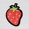 Computerized Embroidery Cloth Iron On/Sew On Patches X-AJEW-S066-34-1