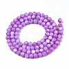Natural Freshwater Shell Beads Strands X-SHEL-N003-24-B04-2