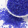 6/0 Round Glass Seed Beads SEED-J018-F6-68-1