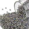 TOHO Round Seed Beads X-SEED-TR11-0176F-1