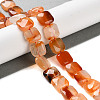 Natural Agate Beads Strands G-H024-D01-01-2
