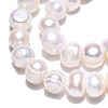 Natural Cultured Freshwater Pearl Beads Strands PEAR-N013-08G-5