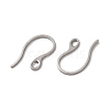 Tarnish Resistant 304 Stainless Steel Earring Hooks STAS-E192-11P-2