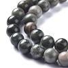 Natural Africa jade Beads Strands G-K416-07-6mm-3