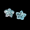 Dyed & Heated Glass Bead Caps GLAA-Z019-02C-2