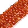 Natural Red Agate Beads Strands G-B171-B03-6mm-2
