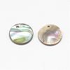 Paua Shell Charms SSHEL-R041-37-3