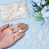 200Pcs 4 Styles Natural Capiz Shell Pendants SSHEL-ME0001-07-3
