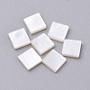 Natural White Shell Mother of Pearl Shell Cabochons SHEL-T007-27B-1