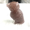 Natural Strawberry Quartz Carved Parrot Figurines PW-WGCDB06-05-1