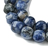 Natural Blue Spot Jasper Beads Strands G-H023-A07-01-4