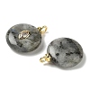 Natural Labradorite Pendants G-H328-08G-B18-2