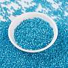 MIYUKI Round Rocailles Beads SEED-G008-RR0647-2