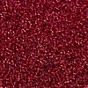 MIYUKI Delica Beads SEED-X0054-DB0602-3