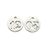 Non-Tarnish 304 Stainless Steel Pendants X-STAS-F233-M-P-2