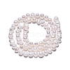 Natural Cultured Freshwater Pearl Beads Strands PEAR-N014-05L-3