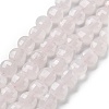 Natural Rose Quartz Beads Strands G-C179-A06-02-2