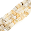 Natural Freshwater Shell Beads Strands BSHE-H109-13B-1