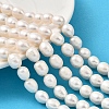 Natural Cultured Freshwater Pearl Beads Strands PEAR-I007-01E-02A-1