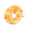 Natural Golden Yellow Shell Beads Strands SSHEL-G024-01E-2