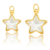 10Pcs 2 Styles Brass Charms KK-BBC0019-20A-6