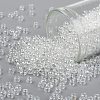 TOHO Round Seed Beads SEED-JPTR08-0101-1