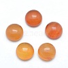 Natural Carnelian Cabochons X-G-P393-R41-10mm-1