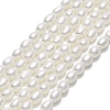 Natural Cultured Freshwater Pearl Beads Strands PEAR-J006-07F-1