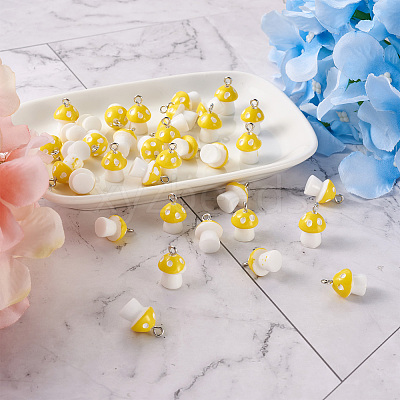 Plastic Pendants KY-TA0001-15B-1